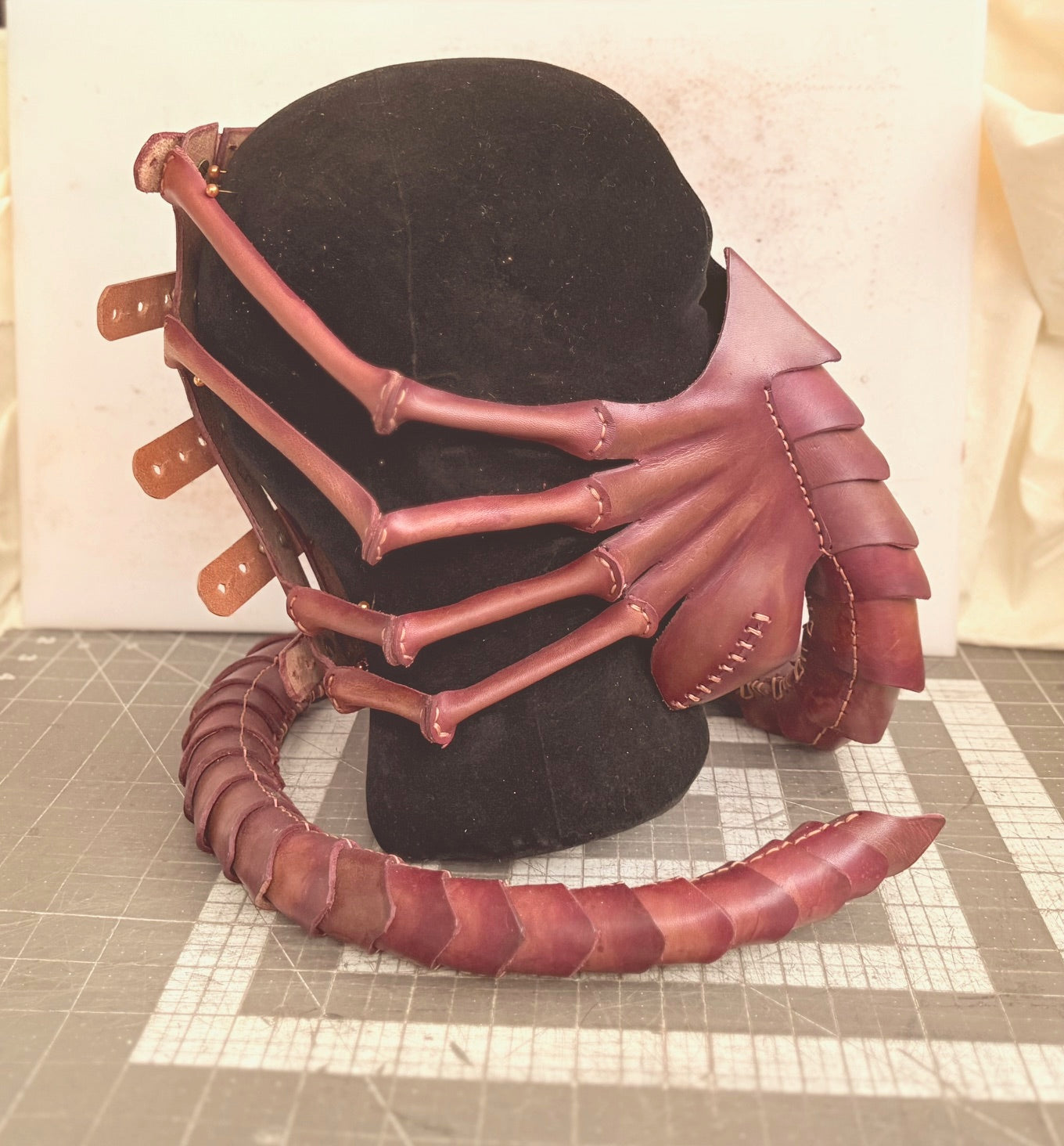 'Alien' Face Hugger